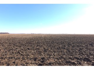 Property photo 17 - LAND AUCTION - 300+/- ACRES IN 2 TRACTS IN SULLIVAN COUNTY, INDIANA